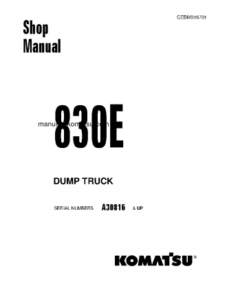830E(USA) S/N A30816-UP Shop (repair) manual (English)