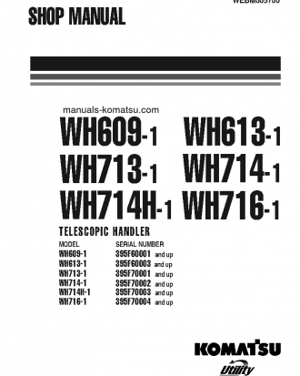 WH609-1(ITA) S/N 395F60001-UP Shop (repair) manual (English)